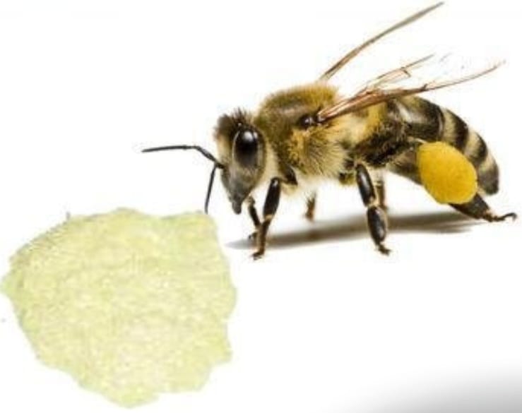 pure organic bee venom